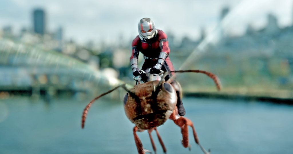 ant-man | Foto: Marvel