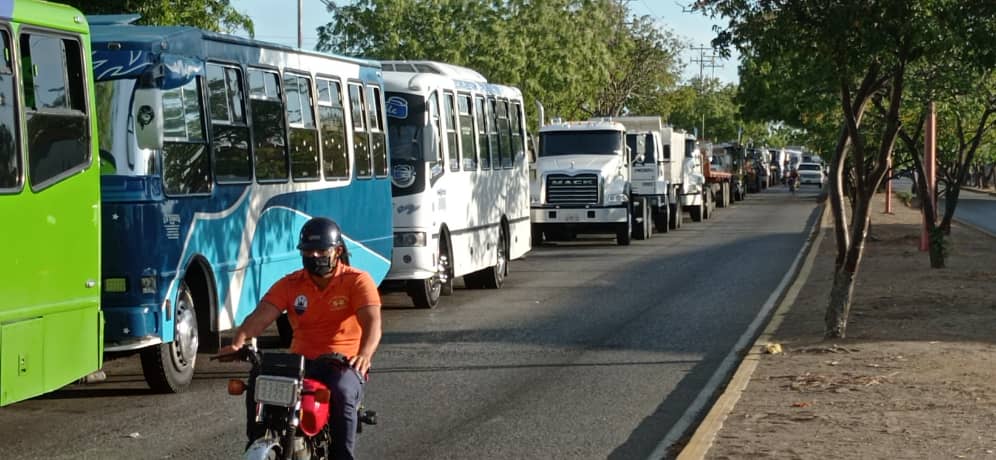 Escasez de gasoil afecta el transporte público en Punto Fijo