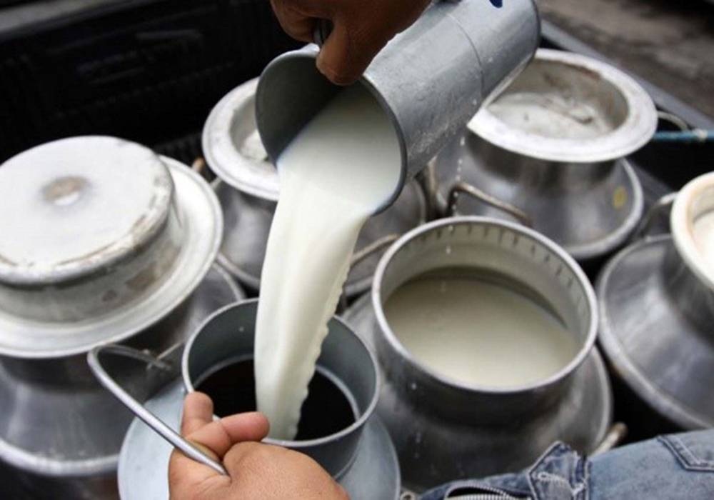 AVAF: Escasez de combustible ha causado la pérdida de 3 mil litros de leche diarios