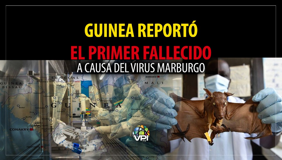 Virus de Marburgo: ¿Qué es y cómo llegó a Guinea?