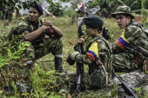 Militantes de las FARC.