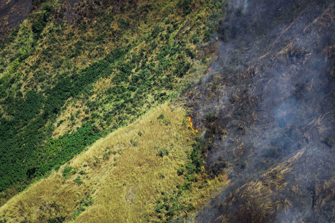 Incendio en el Parque Nacional Henri Pittier. Foto: Twitter