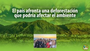 Talas, fiestas en tepuyes, proyectos en El Ávila: ¿Corre peligro la naturaleza en Venezuela?