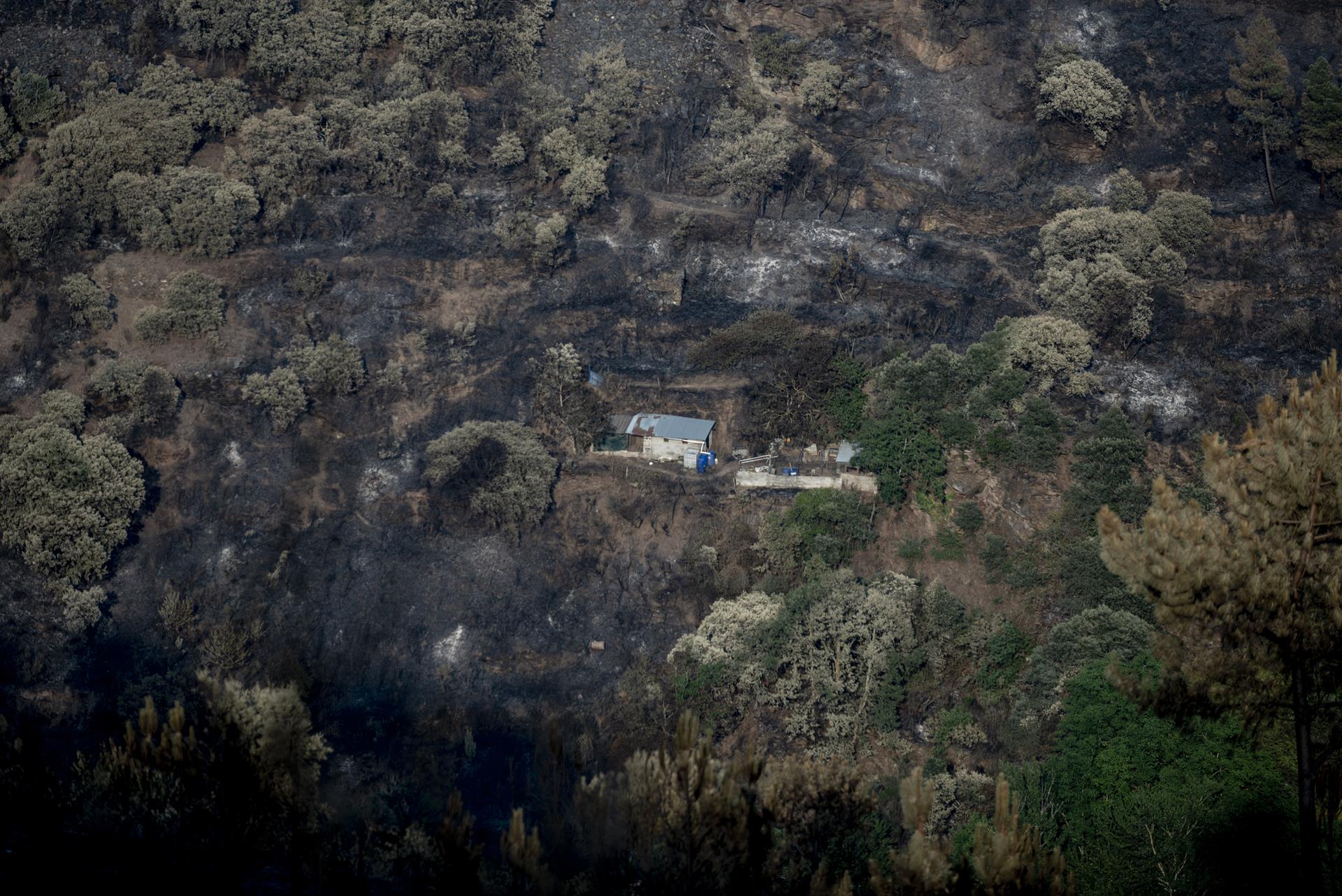 Amenaza de incendios forestales en Europa disminuyó tras paso de ola de calor
