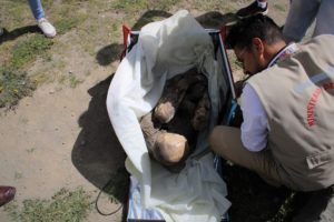 LIMA (PERÚ), 27/02/2023.- Fotografía cedida por el Ministerio de Cultura, que muestra una momia prehispánica. EFE/Ministerio de Cultura.