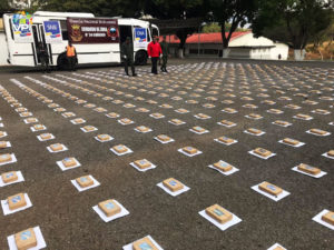 Incautaron más de 300 kg de marihuana en Guárico