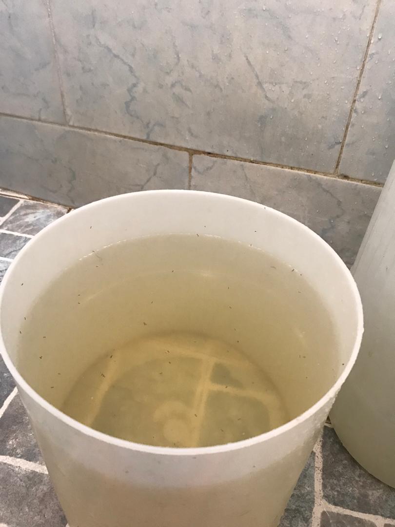 Agua en Chacao