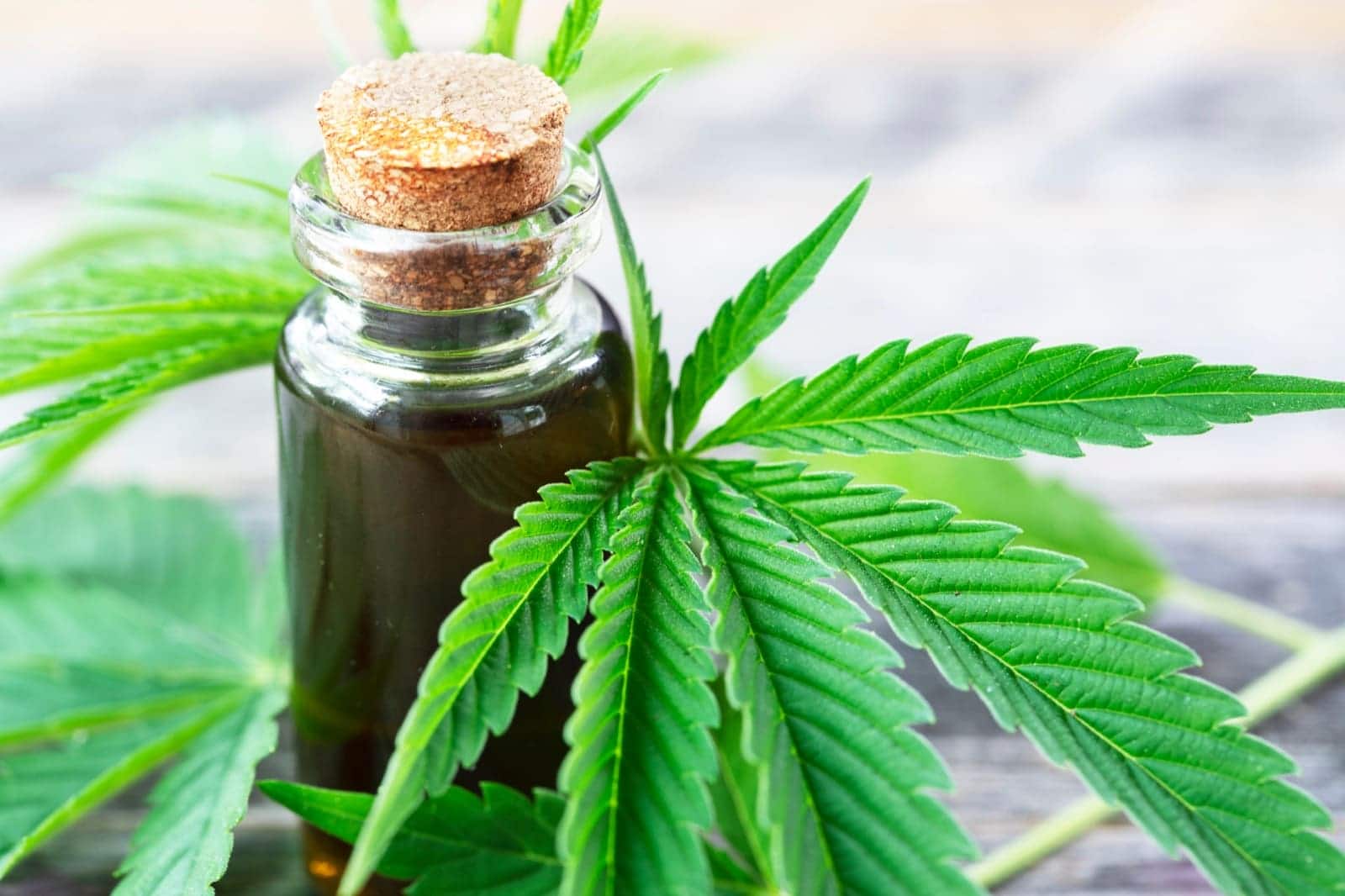ONU-Cannabis