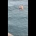 Dos personas fallecieron en naufragio ocurrido en Anzoátegui (+Vídeo)