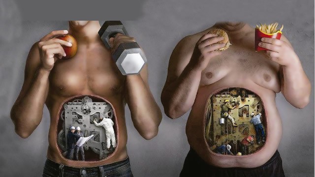 #Salud | ¿De qué depende que el metabolismo sea lento o rápido en una persona?