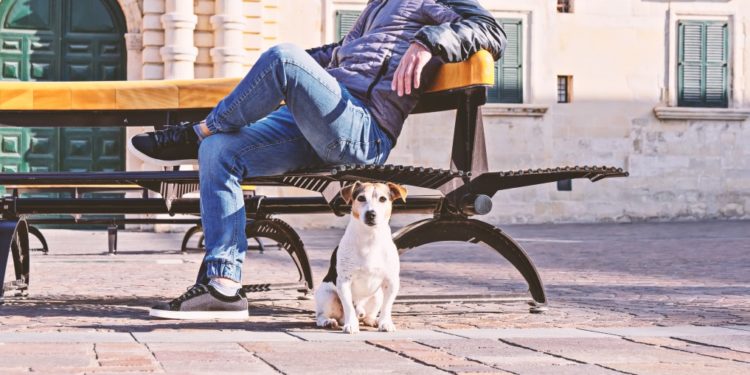 #Variedad | Conoce cómo cuidar a tus mascotas de la pandemia