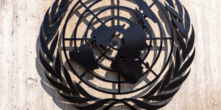 #Mundo | ONU pide a Colombia intervenir en acciones de grupos armados