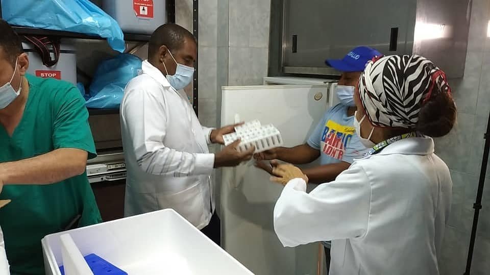 médicos
