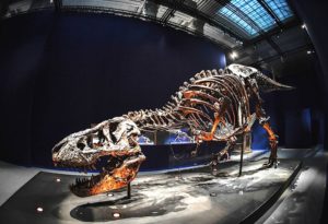 dinosaurio | Foto: AFP
