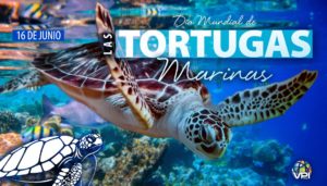Día Mundial de las Tortugas Marinas