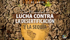 Día Mundial de Lucha contra la Desertificación y la Sequía