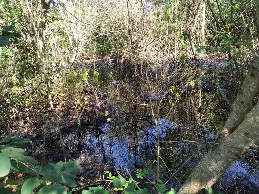 Río Neverí contaminado por hidrocarburos. Foto: Twitter
