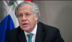 Luis Almagro. (AFP)