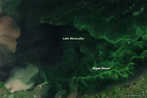 Imagen satelital del Observatorio de la Tierra de la NASA.