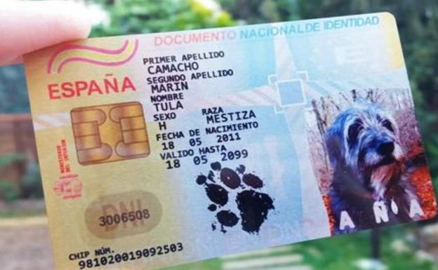 Modelo de DNI español para mascotas.