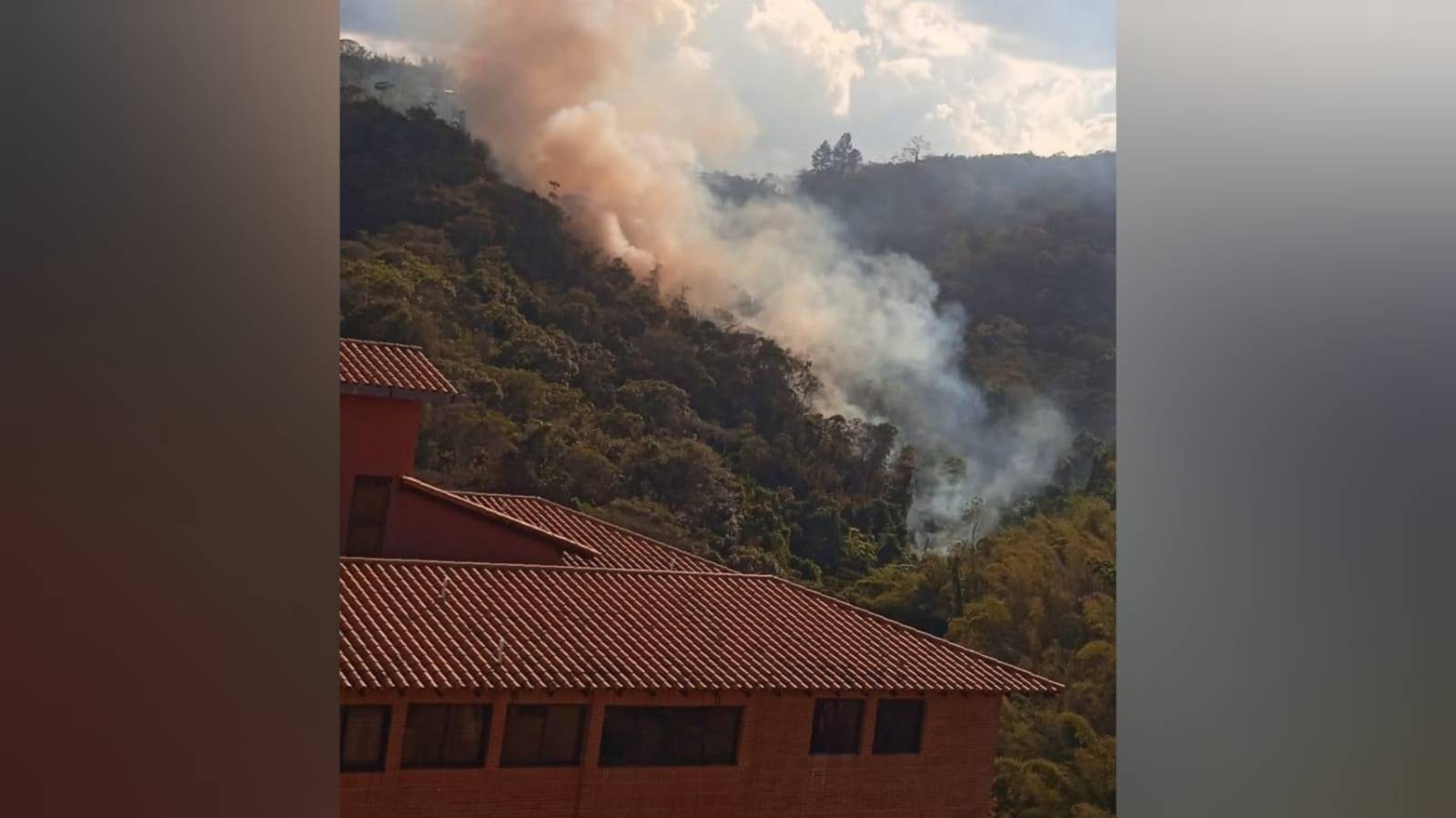 Foto: Twitter Vanessa Rodríguez (@nessacrlupo)