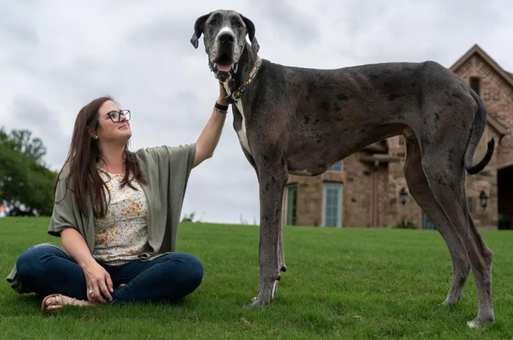 Zeus junto a su dueña, Brittany Davis. Foto: Gentileza