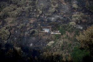 Amenaza de incendios forestales en Europa disminuyó tras paso de ola de calor