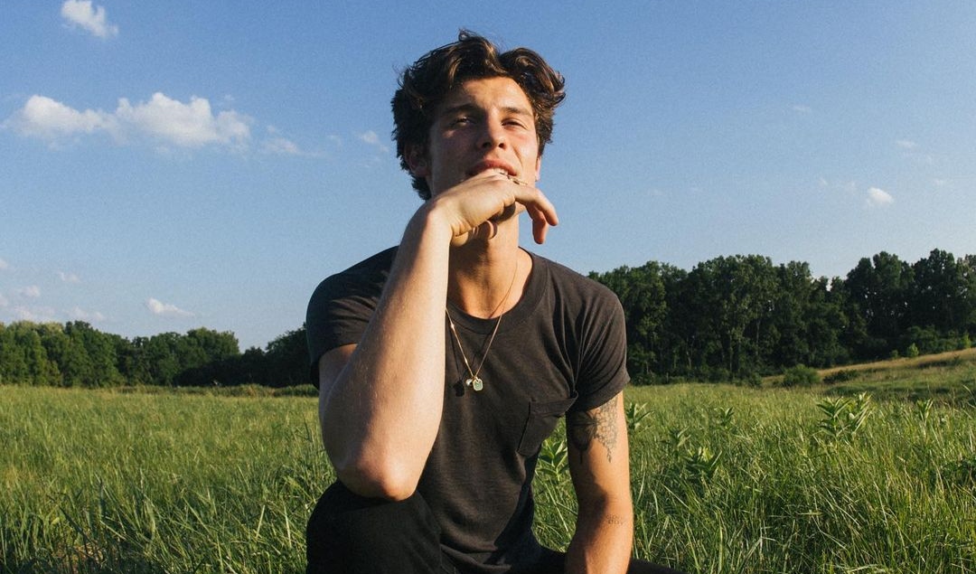 Shawn Mendes dice adiós a la música