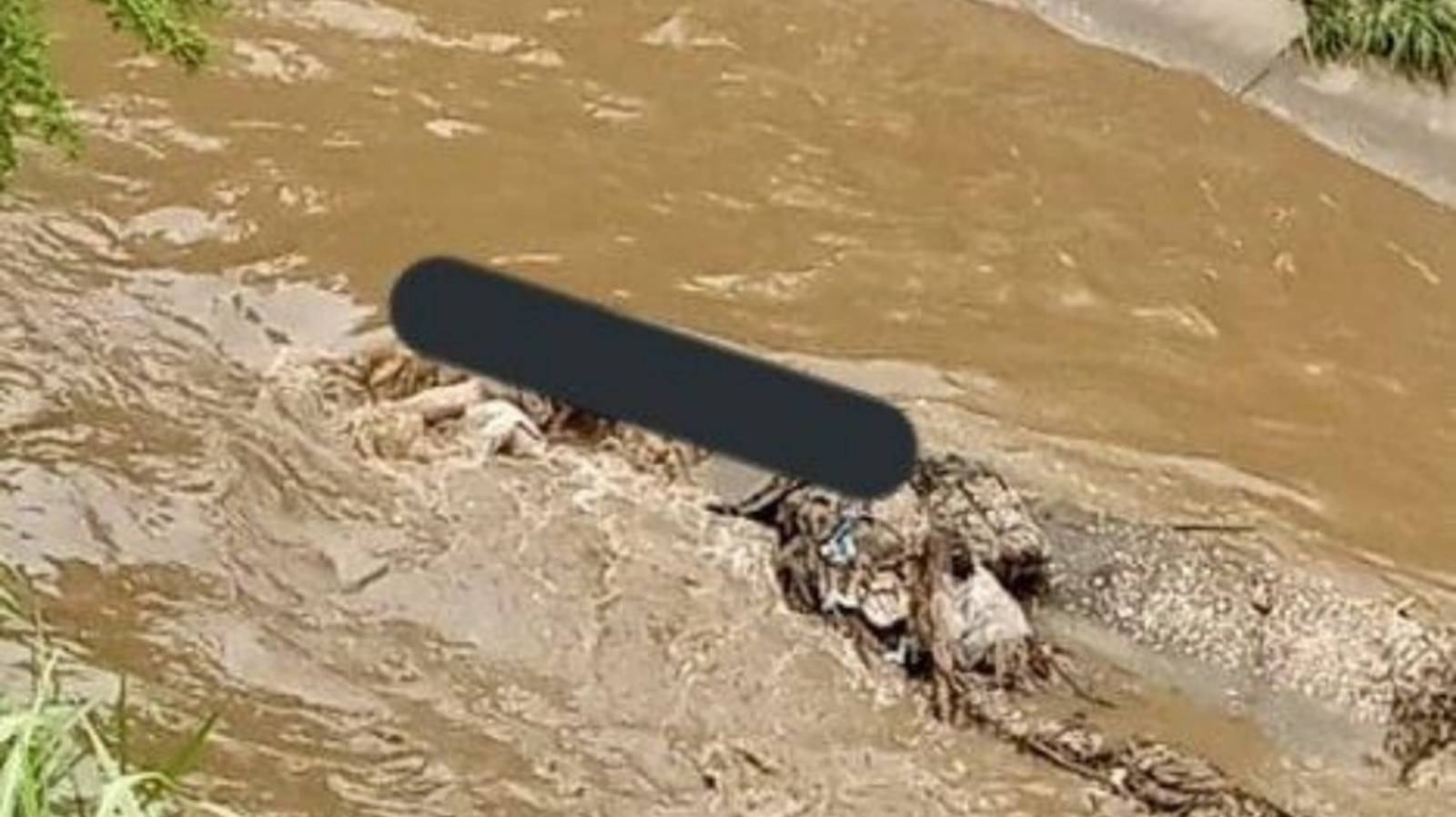 Foto: Twitter Román Camacho.