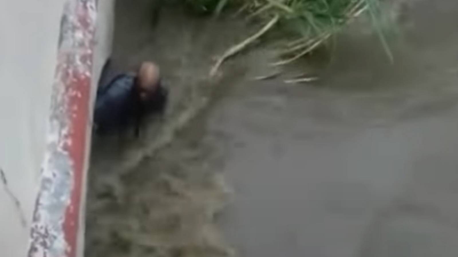 Foto: Captura de pantalla.