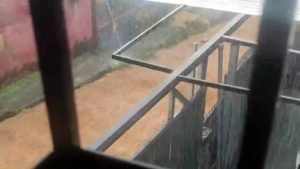 Foto: Captura de pantalla.