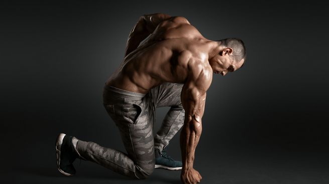 Wässrige Suspension von Testosteron  Steroid-Kurs sorgt für Kontroversen in der Bodybuilding-Welt