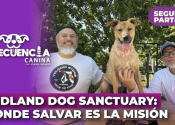 Frecuencia Canina – Redland Dog Sanctuary (Parte 2): Cuando el Rescate Continúa