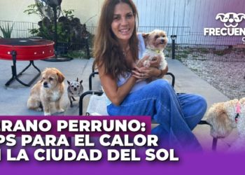 “Verano Perruno: Tips para el Calor en la Ciudad del Sol” – Frecuencia Canina