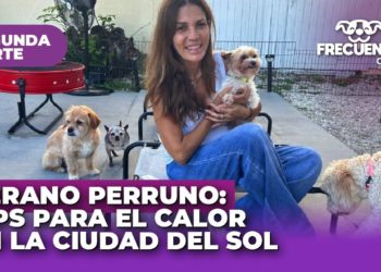 “Verano Perruno: Tips para el Calor en la Ciudad del Sol” Segunda parte